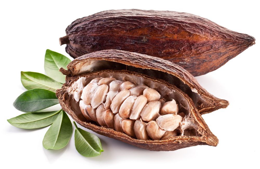 Cacao Beans
