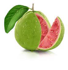 Guava